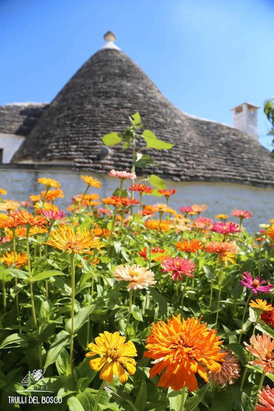 Trulli Del Bosco Bed & Breakfast Alberobello Luaran gambar